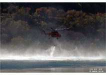 베스트갤러리 - 소방헬기119