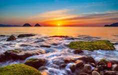 베스트갤러리 - 무슬목 일출.......