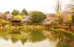 베스트갤러리 - 보문정