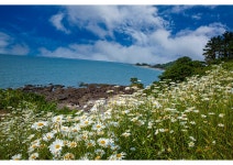 베스트갤러리 - 부안마실길