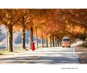 베스트갤러리 - 메타 길