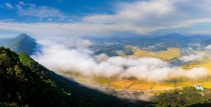 베스트갤러리 - 黃金 들녁