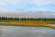 베스트갤러리 - 죽동 메타길이라 우거봅니다