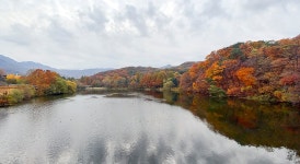 베스트갤러리 - 동물원 가는 길