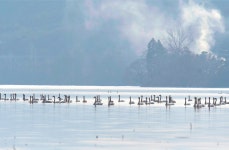 베스트갤러리 - 강변의 풍경