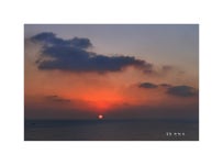 베스트갤러리 - 제주 성산