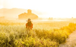 베스트갤러리 - 안성목장