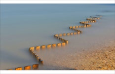 베스트갤러리 - 바람아래