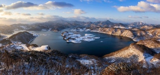 베스트갤러리 - 붕어섬