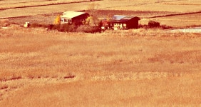 베스트갤러리 - 추억 의 순천만