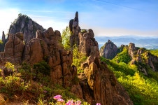 베스트갤러리 - 실록