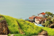 베스트갤러리 - 남해바다가에서...