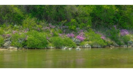 베스트갤러리 - 시냇가의 풍경