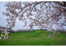 베스트갤러리 - 서산목장