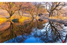 베스트갤러리 - 작은방죽