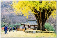 베스트갤러리 - 운곡서원