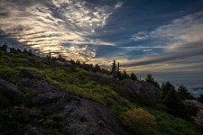 베스트갤러리 - 산정에서
