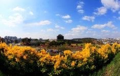 베스트갤러리 - 화성구름좋은날