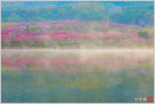 베스트갤러리 - 꿈꾸는 도원