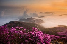 영취산슈퍼 식당 | 베스트갤러리 - 영취산