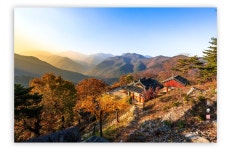 베스트갤러리 - 산사의 아침빛