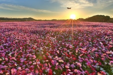 베스트갤러리 - 오늘아침 하늘정원