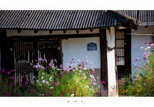 베스트갤러리 - 빛고운 558번지의 가을.