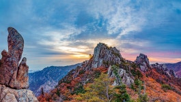 베스트갤러리 - 설악