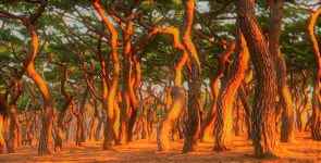 베스트갤러리 - 서라벌의 정취