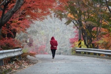 베스트갤러리 - 망진산 가는 길