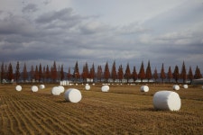 베스트갤러리 - 죽동리.