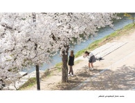 베스트갤러리 - 내폼 어때