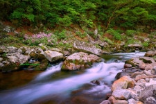 베스트갤러리 - 산골 물소리