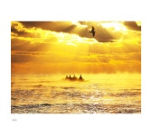 베스트갤러리 - 창공을 날다