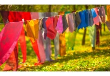 베스트갤러리 - 하늘꽃 천연 염색축제