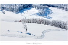 베스트갤러리 - 하얀 목장