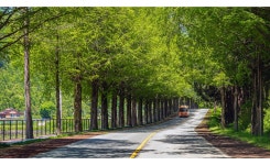 베스트갤러리 - 진안 메타길