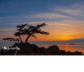 베스트갤러리 - 천사섬 신안!