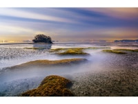 베스트갤러리 - 야밤에도 갯골에 물이 들어온다(여섯 번째)