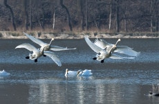 베스트갤러리 - 오늘의 경안천