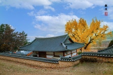 베스트갤러리 - 금시당 추경.