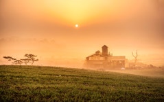 베스트갤러리 - 시즌이 시작된 팜랜드
