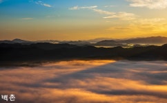 베스트갤러리 - 조훈 아침