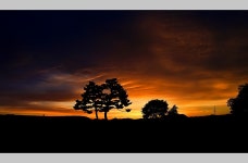 베스트갤러리 - 여 명