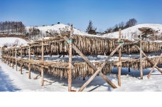 베스트갤러리 - 황태마을