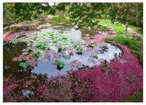 베스트갤러리 - 명옥헌