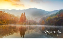 베스트갤러리 - 송곡지 가을나기