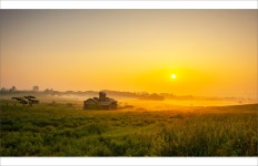 베스트갤러리 - 안성