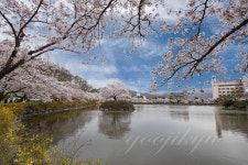 베스트갤러리 - 연화지에서