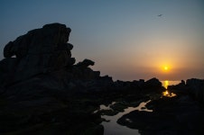 베스트갤러리 - 고성에서 ......